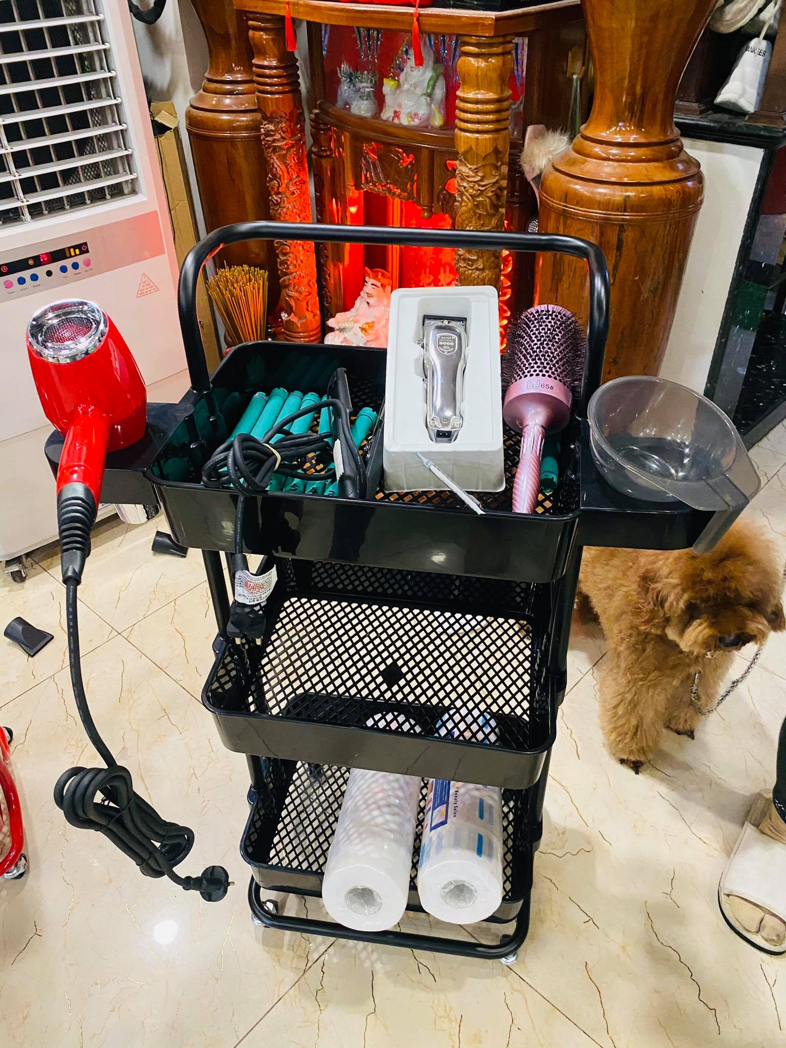 161523656_172542898032656_6799120049539367524_n